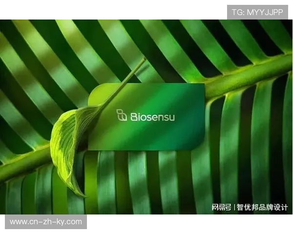 产业链上游深化视觉美学与环保材料结合 推动了线下物料的绿色转型 产业链上游深化视觉美学与环保材料结合 推动了线下物料的绿色转型